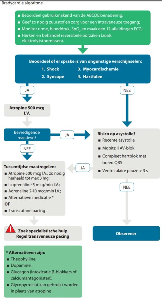 bradycardie algoritme